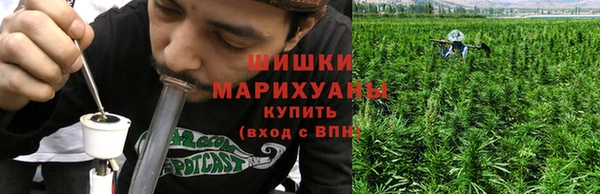 шишки Майский