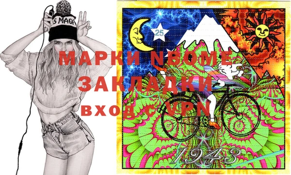 шишки Майский