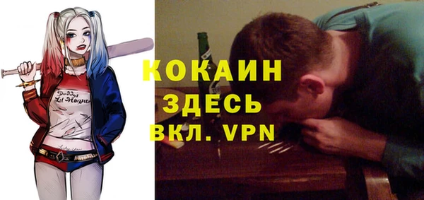 шишки Майский