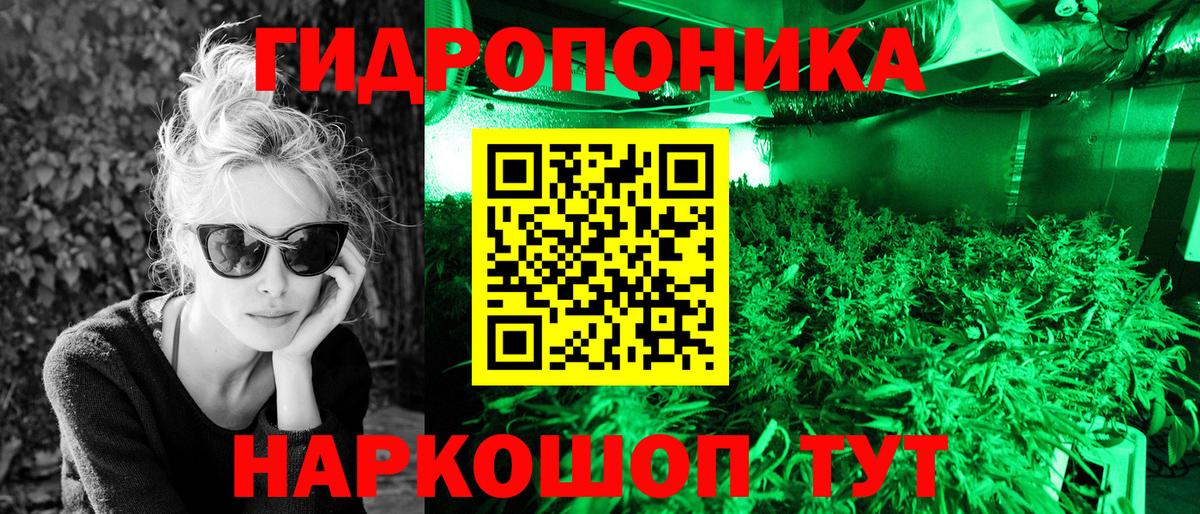 Махачкала  Шишки марихуана ГИДРОПОН  Шишки марихуана конопля  Вход с VPN 